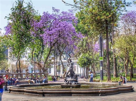 lugares para conocer gente soltera|Top 10 de lugares para conocer solteros en la CDMX